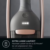 AEG CLEAN 6000 AS62A252XN Akku Staubsauger kabellos/stielstaubsauger beutellos/leise/handstaubsauger akku / 55 min Laufzeit/Hartboden / 2in1 / Tierhaare/Hund/Katze/Teppich/Auto/braun